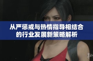 从严惩戒与热情指导相结合的行业发展新策略解析
