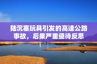 陆沉塞玩具引发的高速公路事故，后果严重亟待反思