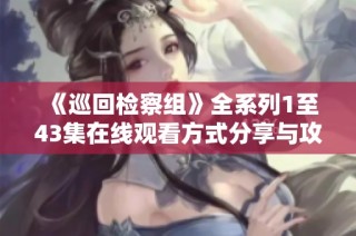 《巡回检察组》全系列1至43集在线观看方式分享与攻略