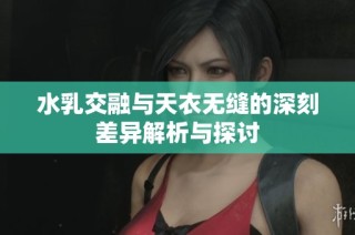 水乳交融与天衣无缝的深刻差异解析与探讨