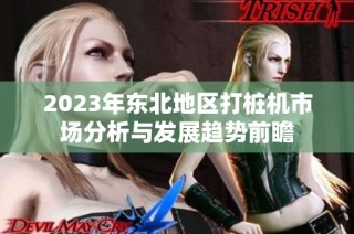2023年东北地区打桩机市场分析与发展趋势前瞻