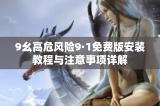 9幺高危风险9·1免费版安装教程与注意事项详解