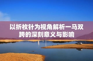 以折枚针为视角解析一马双跨的深刻意义与影响