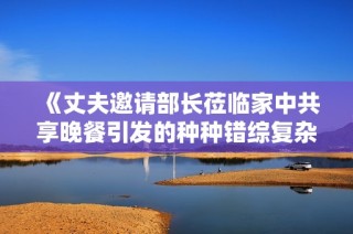 《丈夫邀请部长莅临家中共享晚餐引发的种种错综复杂的故事》