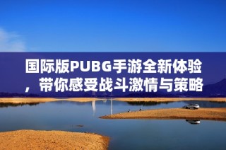 国际版PUBG手游全新体验，带你感受战斗激情与策略乐趣