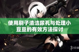 使用刷子清洁尿孔与处理小豆豆的有效方法探讨