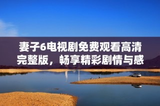 妻子6电视剧免费观看高清完整版，畅享精彩剧情与感人时刻