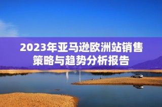 2023年亚马逊欧洲站销售策略与趋势分析报告
