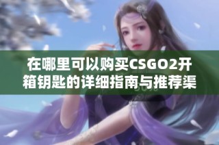 在哪里可以购买CSGO2开箱钥匙的详细指南与推荐渠道