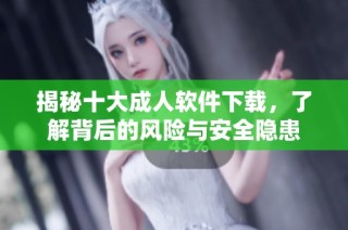揭秘十大成人软件下载，了解背后的风险与安全隐患