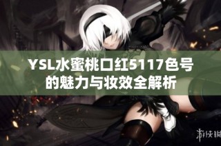 YSL水蜜桃口红5117色号的魅力与妆效全解析