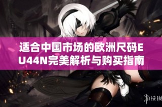 适合中国市场的欧洲尺码EU44N完美解析与购买指南