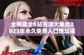 全网最全B站资源大集合2023年永久免费入口地址揭秘