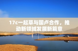 17c一起草与国卢合作，推动新领域发展新篇章