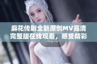 麻花传剧全新原创MV高清完整版在线观看，感受精彩剧目魅力与创意