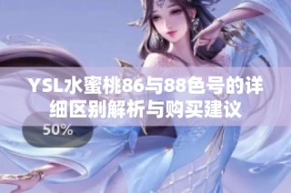YSL水蜜桃86与88色号的详细区别解析与购买建议