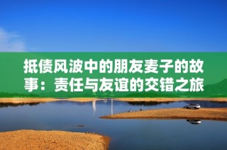 抵债风波中的朋友麦子的故事：责任与友谊的交错之旅