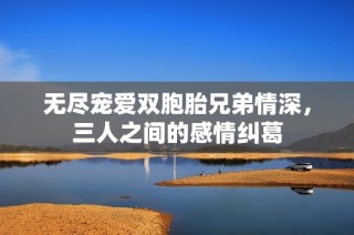 无尽宠爱双胞胎兄弟情深，三人之间的感情纠葛