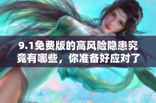9.1免费版的高风险隐患究竟有哪些，你准备好应对了吗