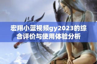 宏翔小蓝视频gy2023的综合评价与使用体验分析