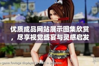 优质成品网站展示图集欣赏，尽享视觉盛宴与灵感启发
