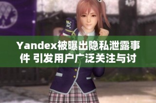 Yandex被曝出隐私泄露事件 引发用户广泛关注与讨论