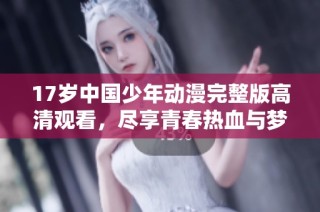 17岁中国少年动漫完整版高清观看，尽享青春热血与梦想故事