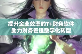 提升企业效率的T+财务软件助力财务管理数字化转型