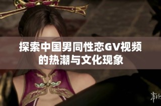 探索中国男同性恋GV视频的热潮与文化现象