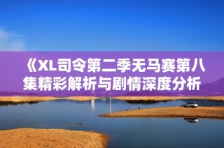 《XL司令第二季无马赛第八集精彩解析与剧情深度分析》