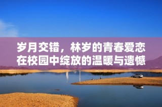 岁月交错，林岁的青春爱恋在校园中绽放的温暖与遗憾