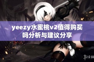 yeezy水蜜桃v2值得购买吗分析与建议分享