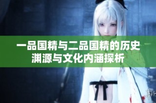 一品国精与二品国精的历史渊源与文化内涵探析