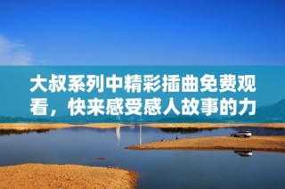大叔系列中精彩插曲免费观看，快来感受感人故事的力量！