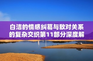 白洁的情感纠葛与敌对关系的复杂交织第11部分深度解析