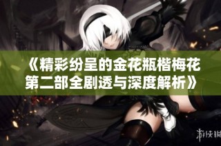 《精彩纷呈的金花瓶楷梅花第二部全剧透与深度解析》