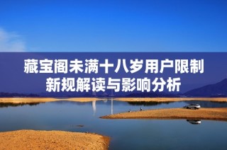 藏宝阁未满十八岁用户限制新规解读与影响分析