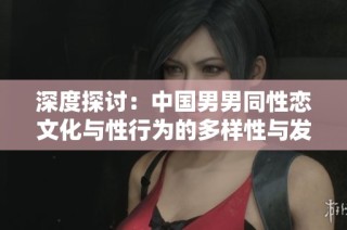 深度探讨：中国男男同性恋文化与性行为的多样性与发展