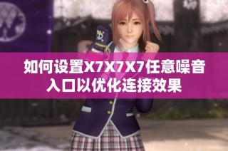 如何设置X7X7X7任意噪音入口以优化连接效果
