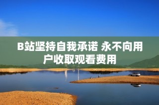 B站坚持自我承诺 永不向用户收取观看费用