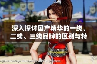 深入探讨国产精华的一线、二线、三线品牌的区别与特点