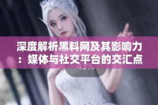 深度解析黑料网及其影响力：媒体与社交平台的交汇点