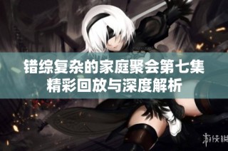 错综复杂的家庭聚会第七集精彩回放与深度解析