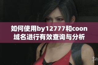 如何使用by12777和coon域名进行有效查询与分析