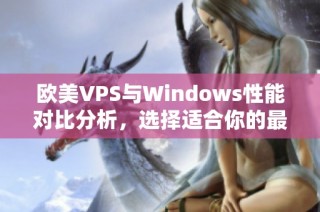 欧美VPS与Windows性能对比分析，选择适合你的最佳方案