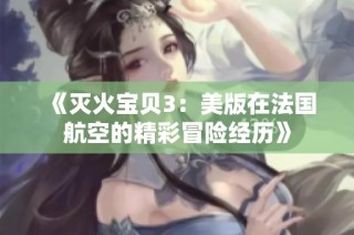 《灭火宝贝3：美版在法国航空的精彩冒险经历》