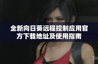 全新向日葵远程控制应用官方下载地址及使用指南