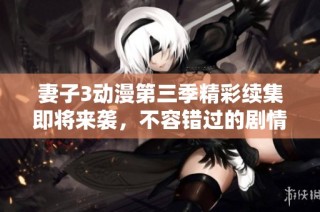 妻子3动漫第三季精彩续集即将来袭，不容错过的剧情揭秘！