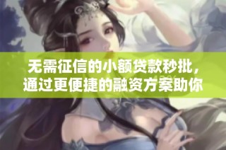 无需征信的小额贷款秒批，通过更便捷的融资方案助你实现梦想