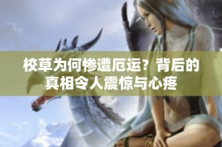校草为何惨遭厄运？背后的真相令人震惊与心疼